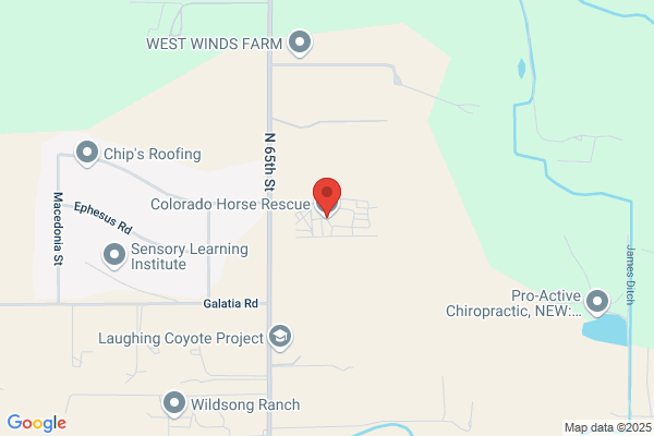 Colorado Horse Rescue