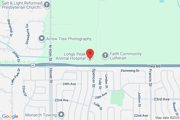 Longs Peak Animal Hospital