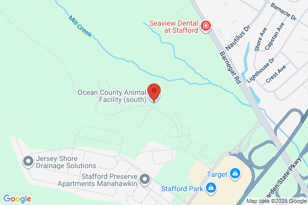 South Jersey Animal Services