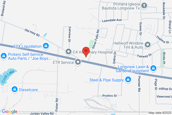 Family Dollar Stores Inc