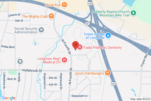 The Longview Dentist