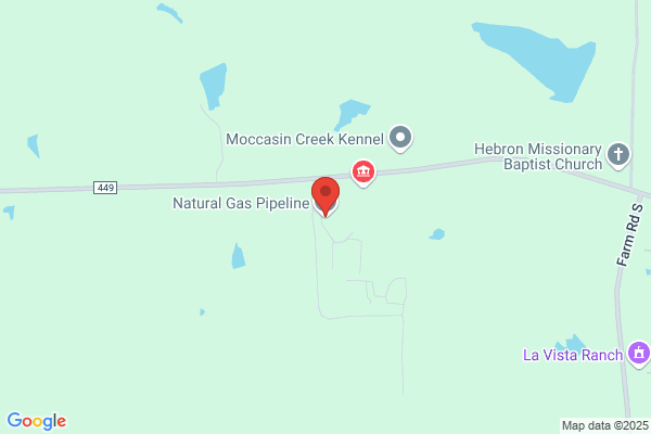 Natural Gas Pipeline Co of America