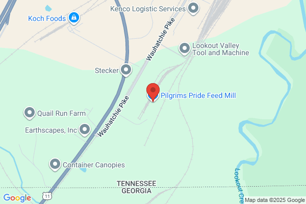General Mills Inc