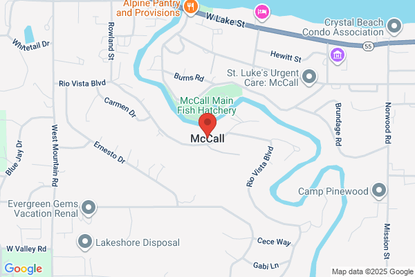 Mc Call Co