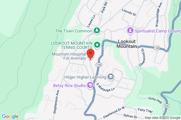 The Mountain Hospital For Animals