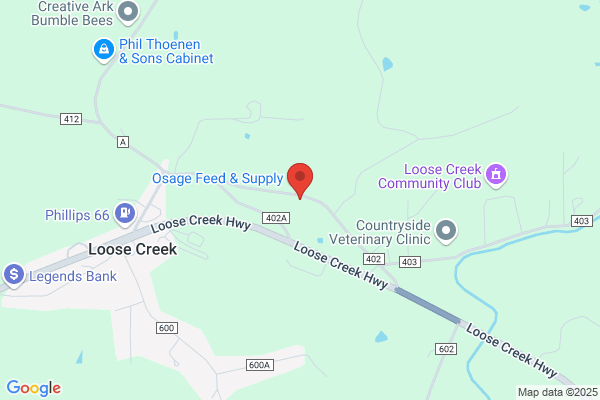 U S Government, Post Offices, Loose Creek