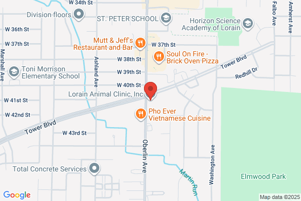 Animal Medical Clinic
