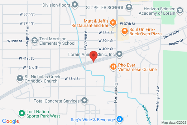 Dr Jack Roberts & Associates Inc