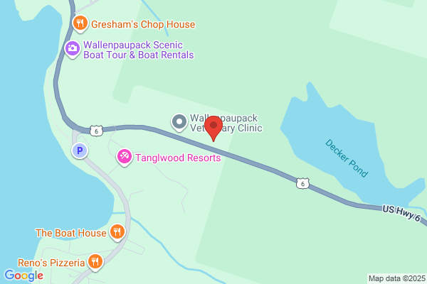 WEICHERT REALTORS PAUPACK  GROUP