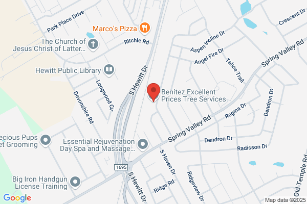 Excellent Prices Tree Services