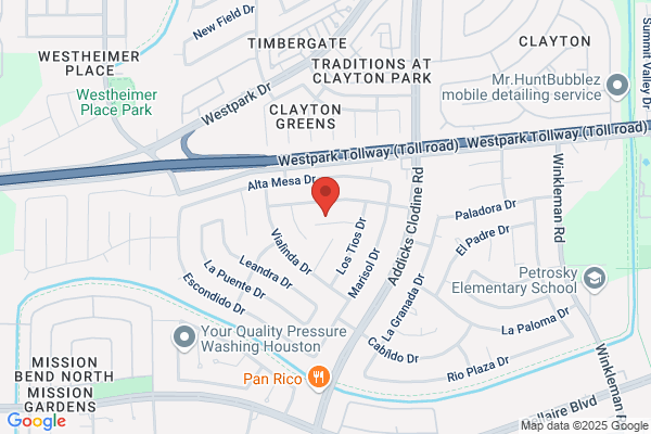 Professional Chimney Services