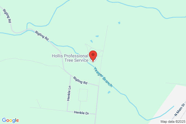 Hollis Professional Tree Service