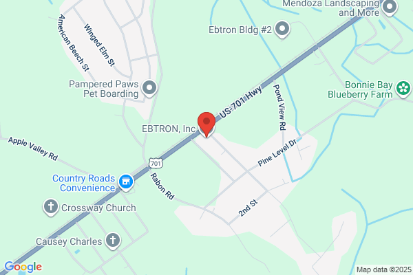 Ebtron Inc