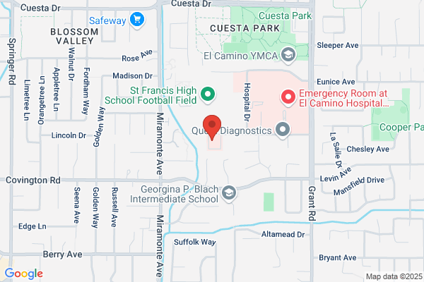 Shahin Fazilat, M.D.