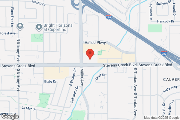 Silicon Valley Home Theater