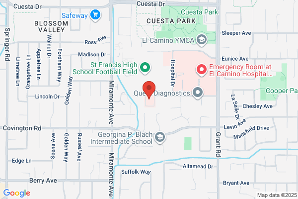 Taylor Physical Therapy