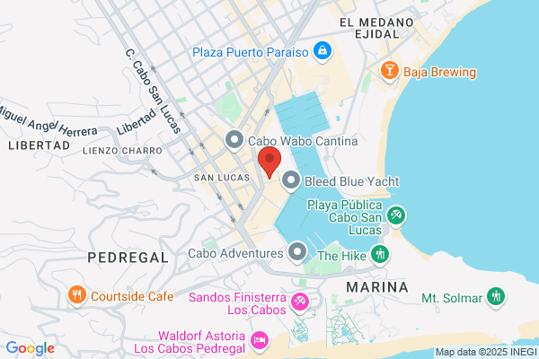 City Car Rental