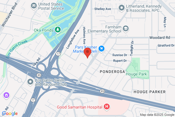 Bay Area Endodontics
