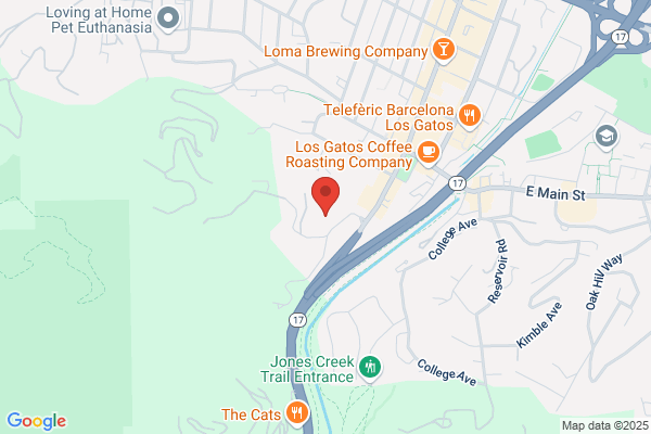 Los Gatos Meadows