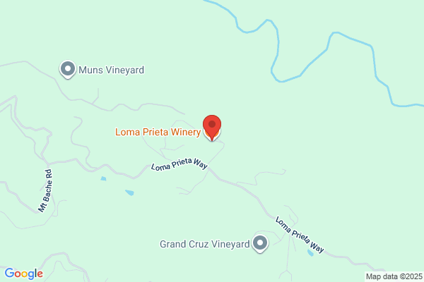 Vineyard Company the