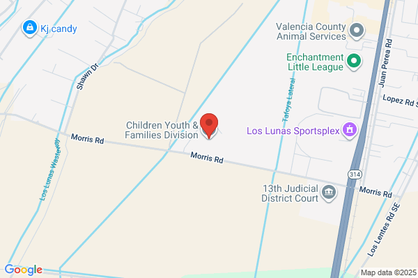 New Mexico State Government, Children Youth & Families Department, Juvenile Justice Division, Protective Services Division