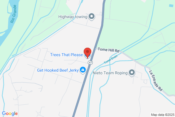 Trees That Please