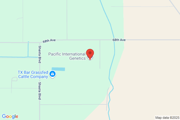 Pacific International Genetics