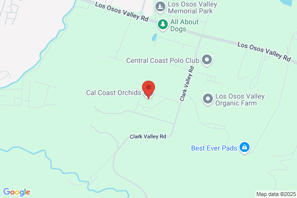 Orchids of Los Osos