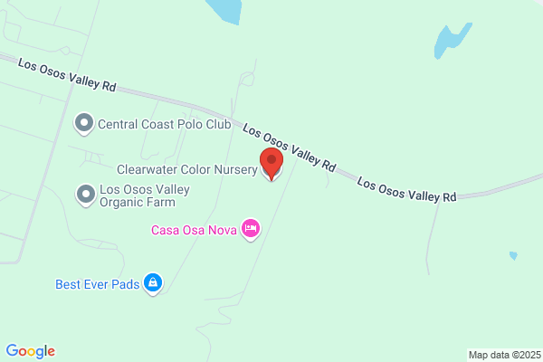 Clearwater Color Nursery