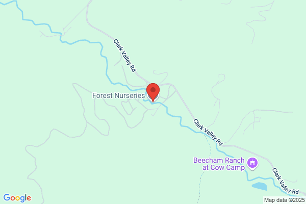 Forest Nurseries Inc