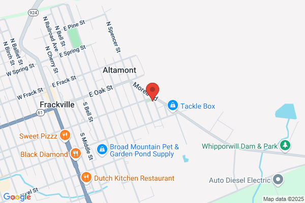 Napa Auto Parts