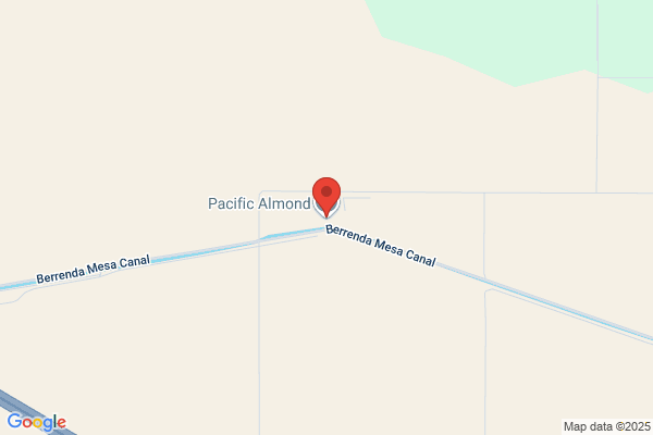 Pacific Almond