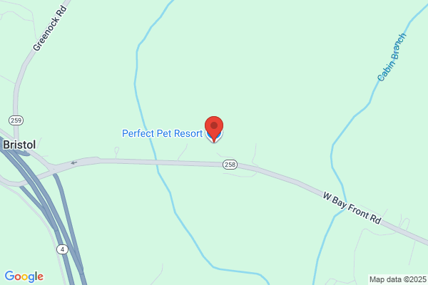 Perfect Pet Resort