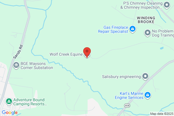 Wolf Creek Equine