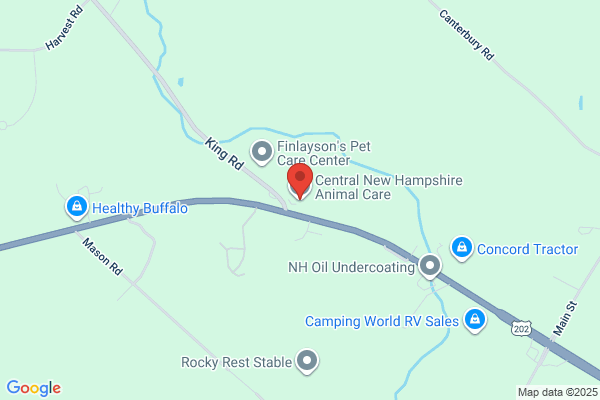 Animal Care