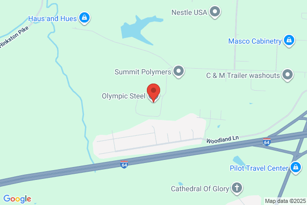 Olympic Metals Inc
