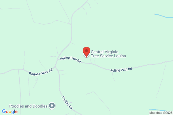 Central Virginia Tree Service