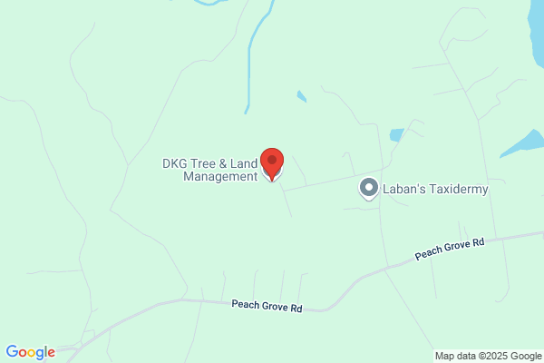 DKG Tree & Land Management