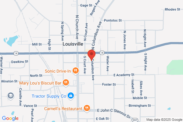 Louisville Electric System