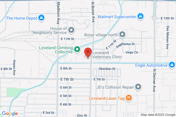 Loveland Veterinary Clinic- Matt Jones, DVM