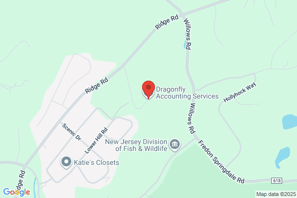 Dragonfly Accounting Services