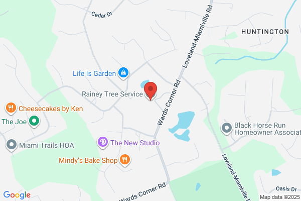 Rainey Tree Service
