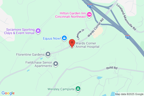 Wards Corner Animal Hospital