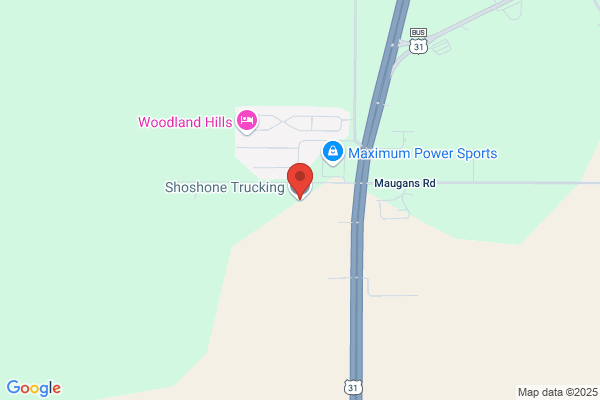 Shoshone Trucking