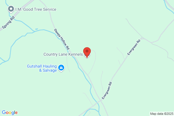 Overland Kennels