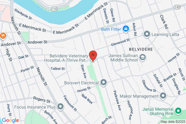 Belvidere Veterinary Hospital