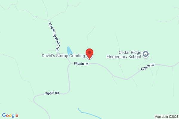 David's Stump Grinding