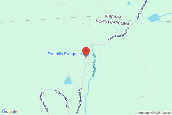Foothills Evergreen