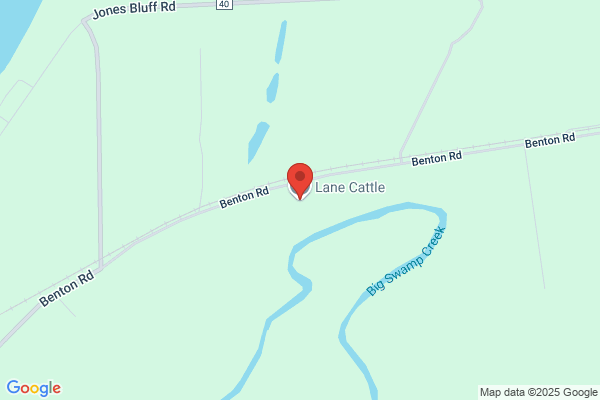 Lane Cattle Company