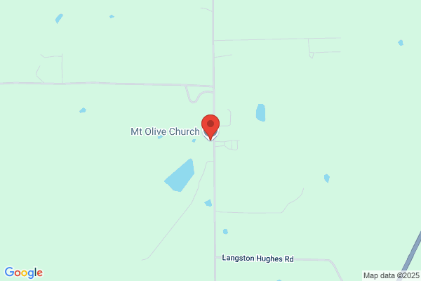 MT Olive Multi-Purpose